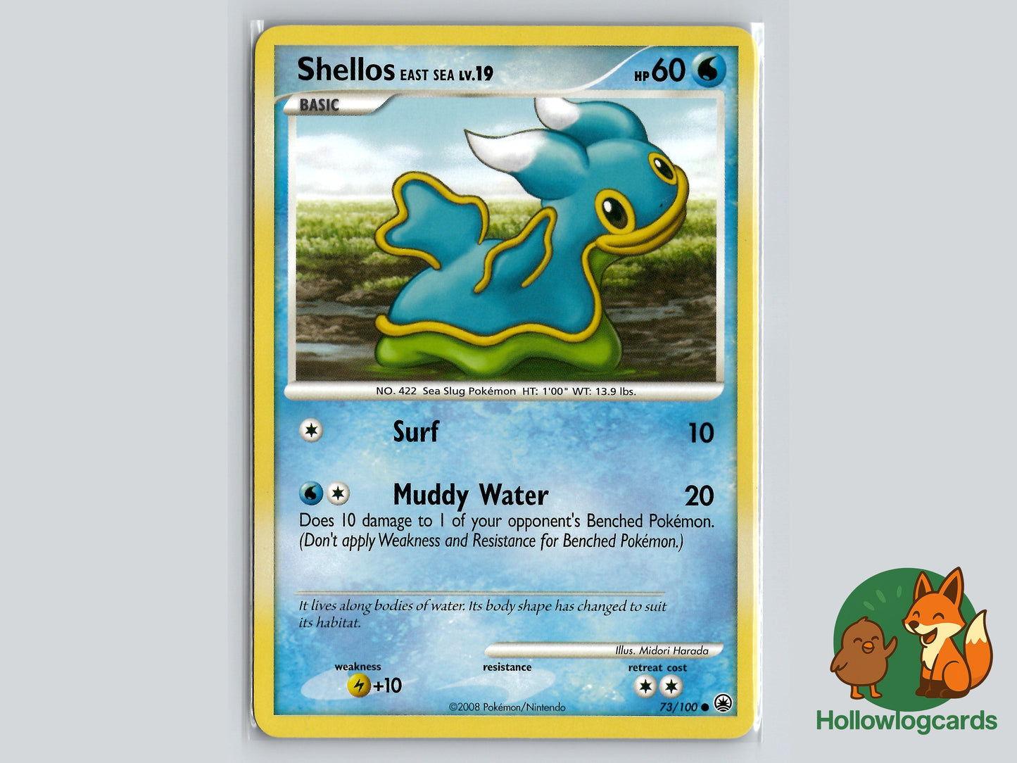 Image of Shellos East Sea Majestic Dawn (MD) #73
