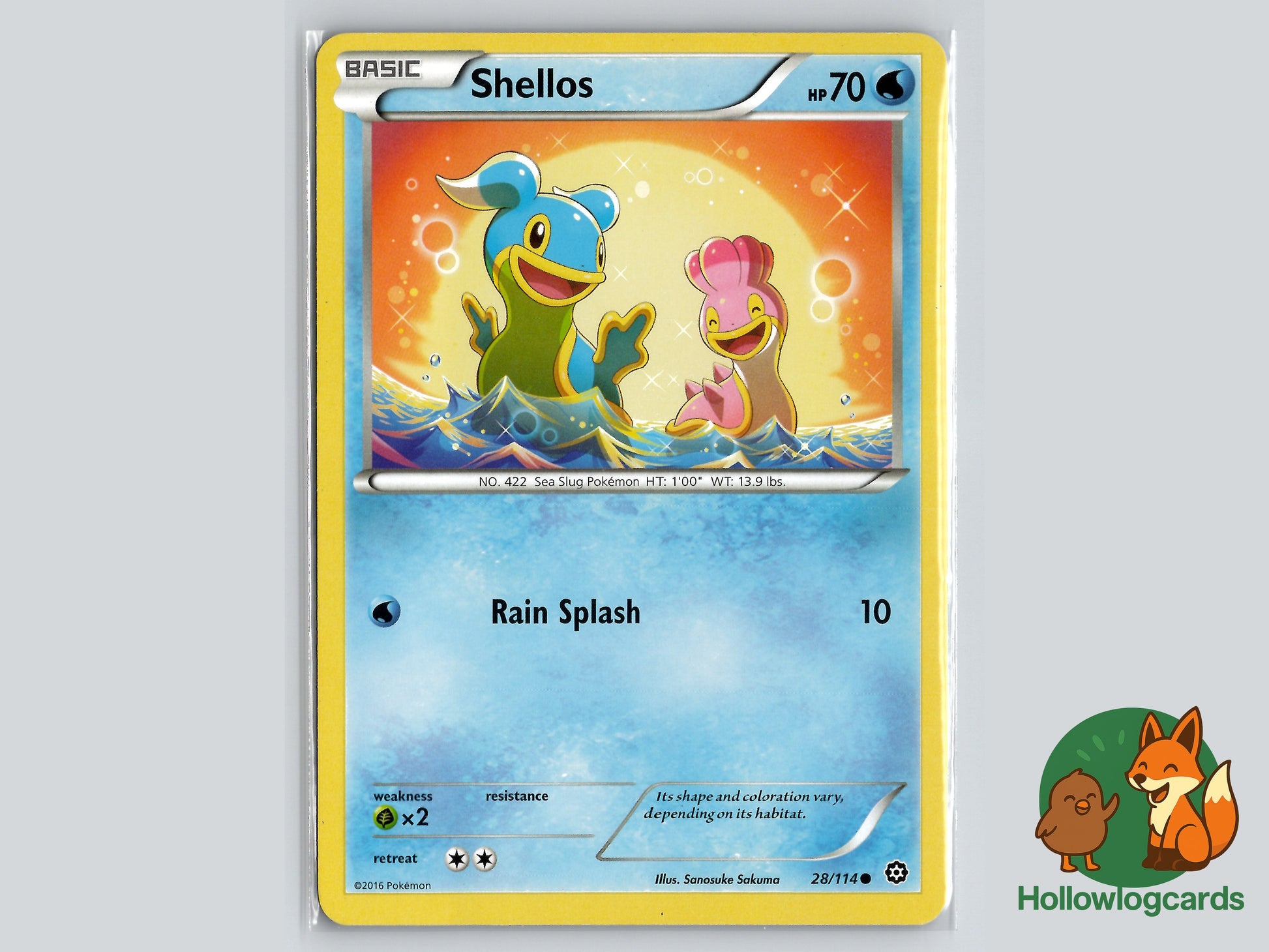 Image of Shellos Steam Siege (STS) #28