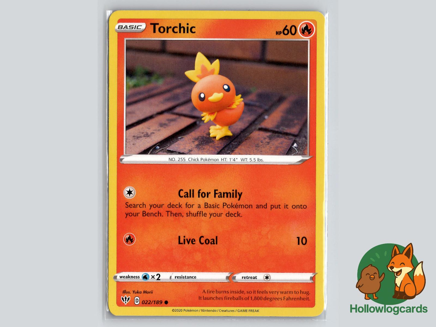 Torchic (022/189) - Darkness Ablaze Pokémon Card