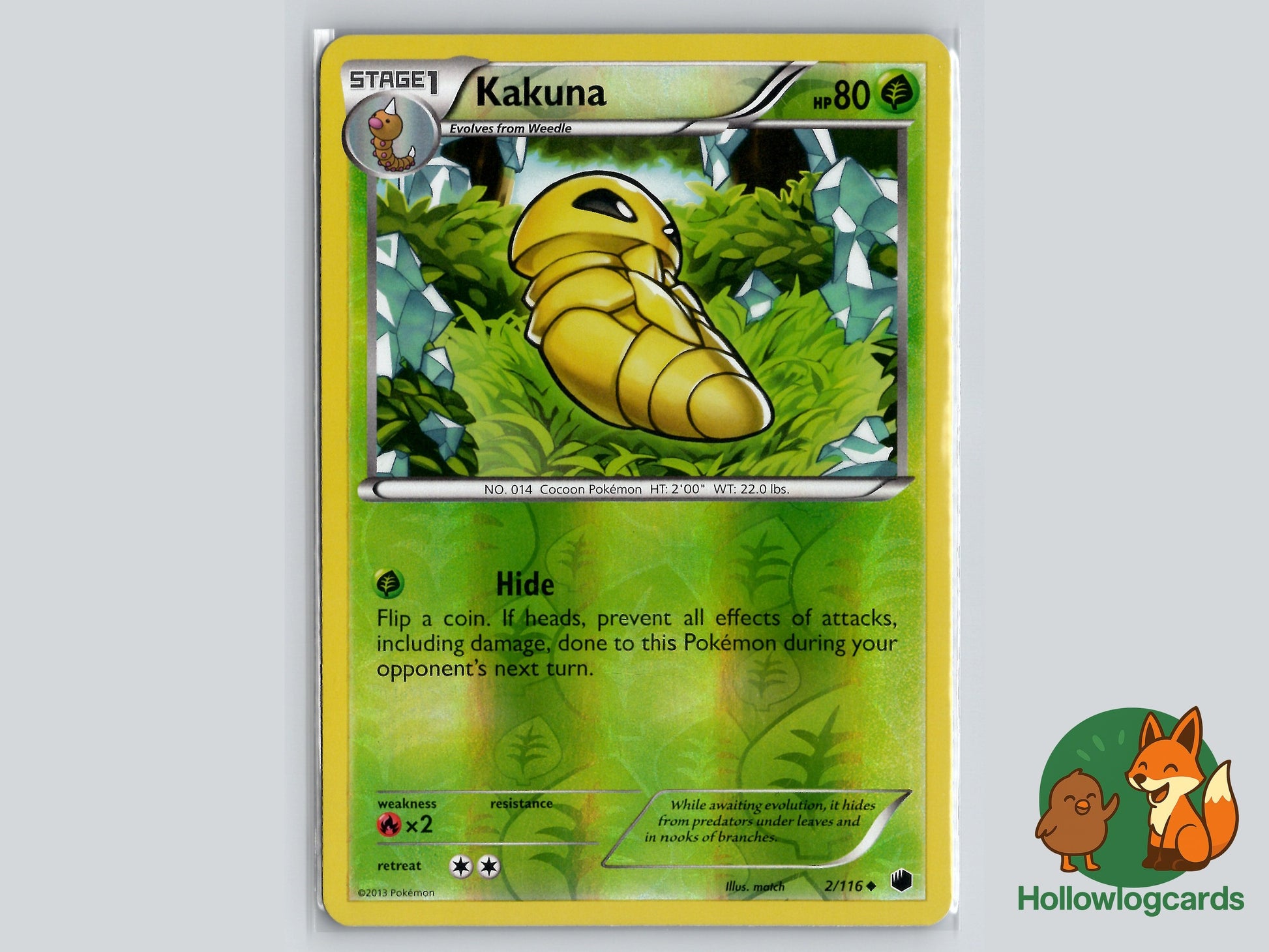 Image of Kakuna Plasma Freeze (PLF) #2