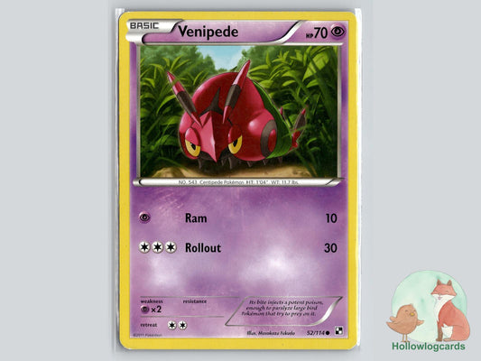 Venipede (52/114) - Black & White Pokémon Card