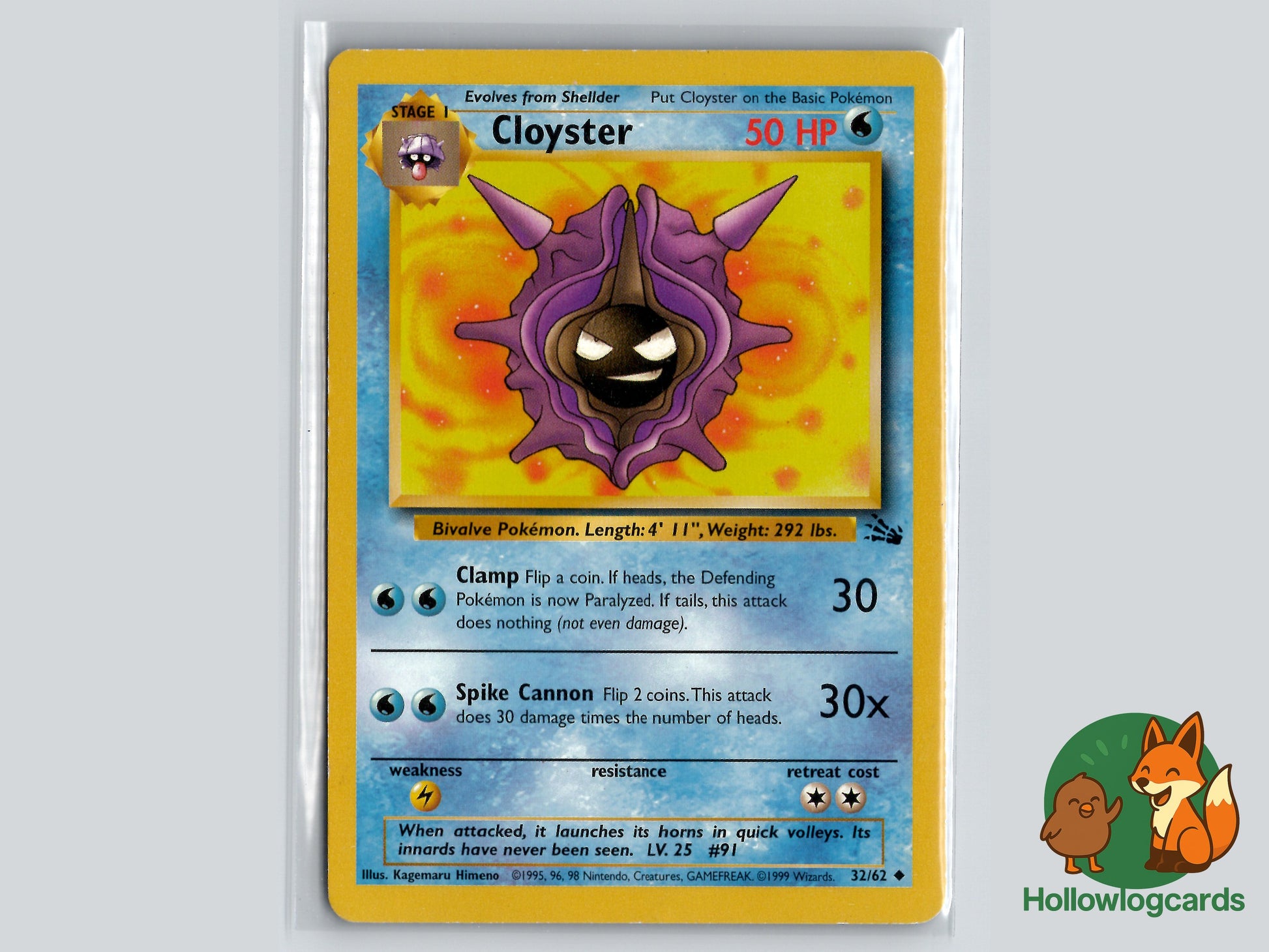 Image of Cloyster Fossil (FO) #32