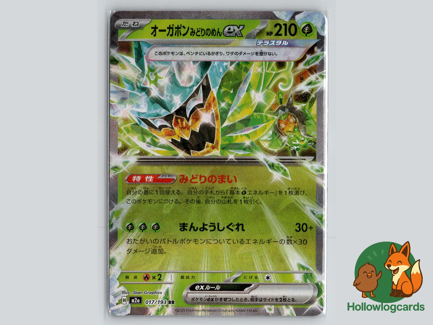 Teal Mask Ogerpon ex (017/193) Pokémon Card