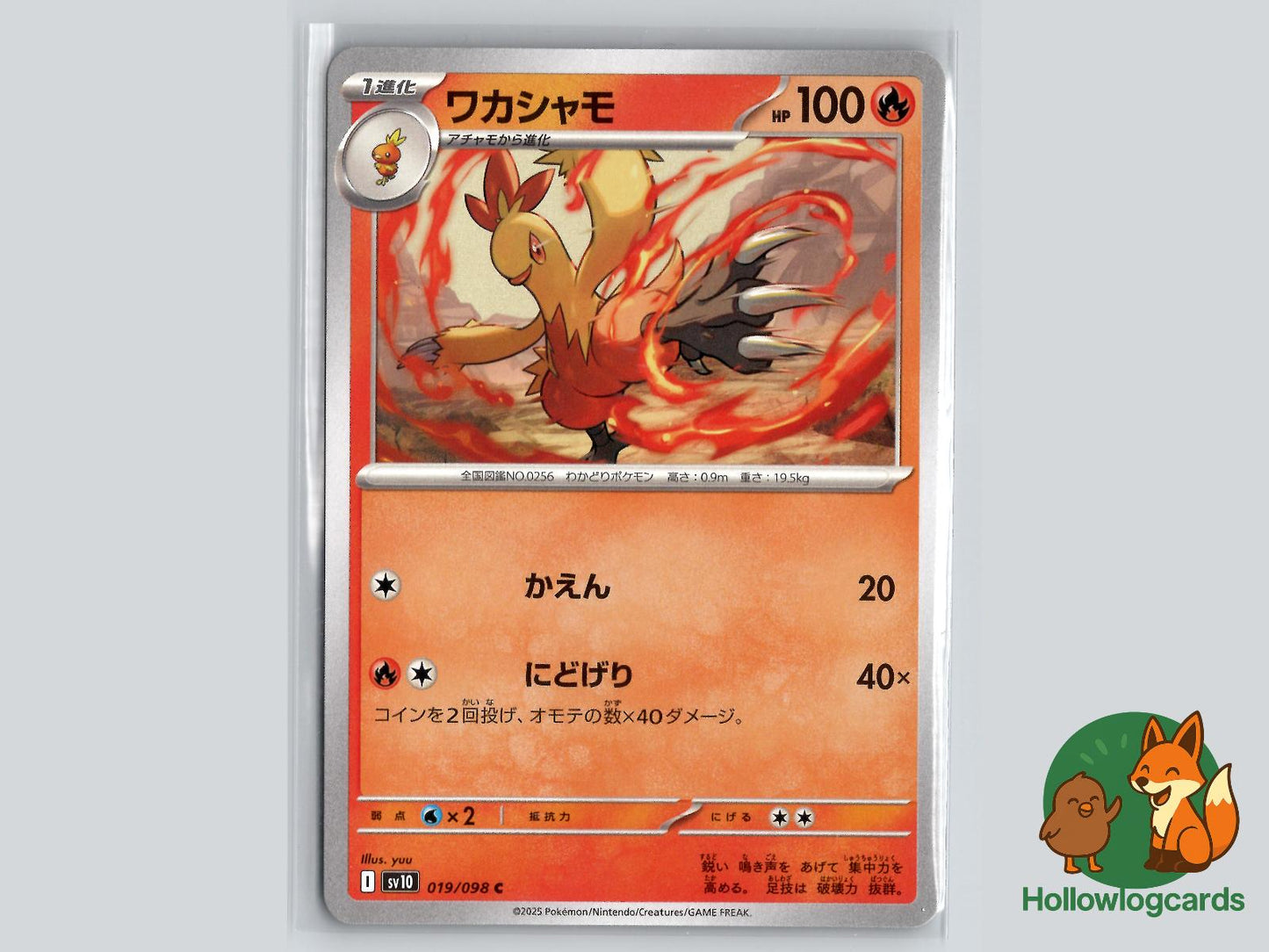 Combusken (019/098) Pokémon Card