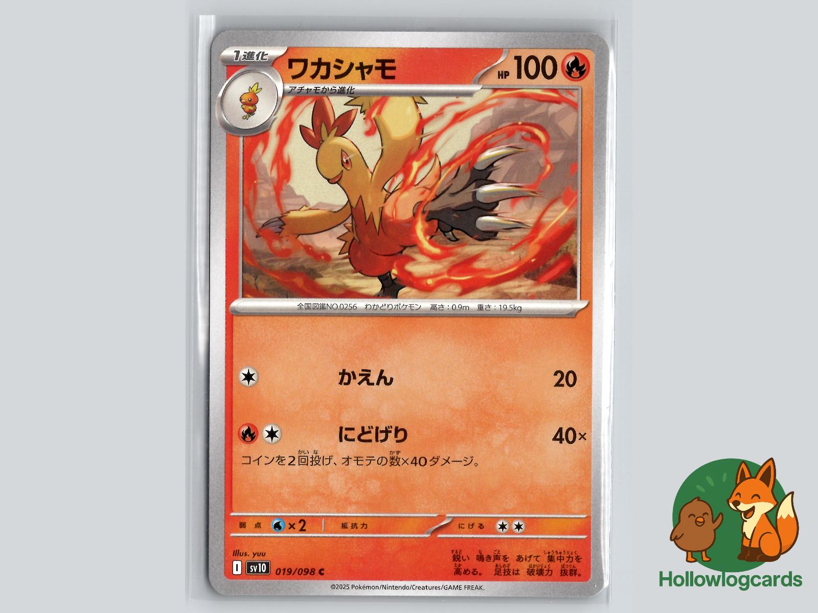 Combusken (019/098) Pokémon Card