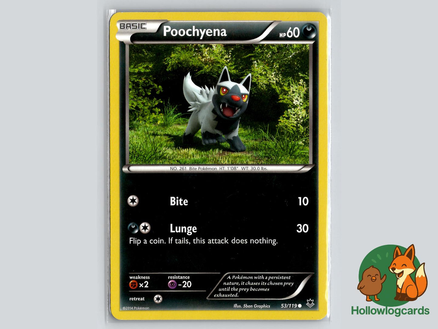 Poochyena (53/119) - Phantom Forces Pokémon Card