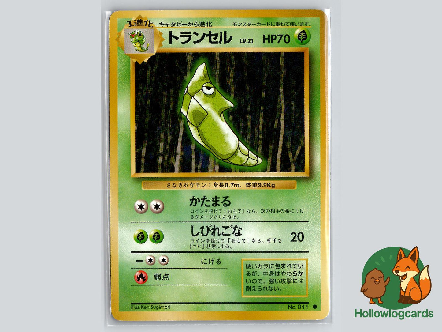 Metapod - Base Pokémon Card