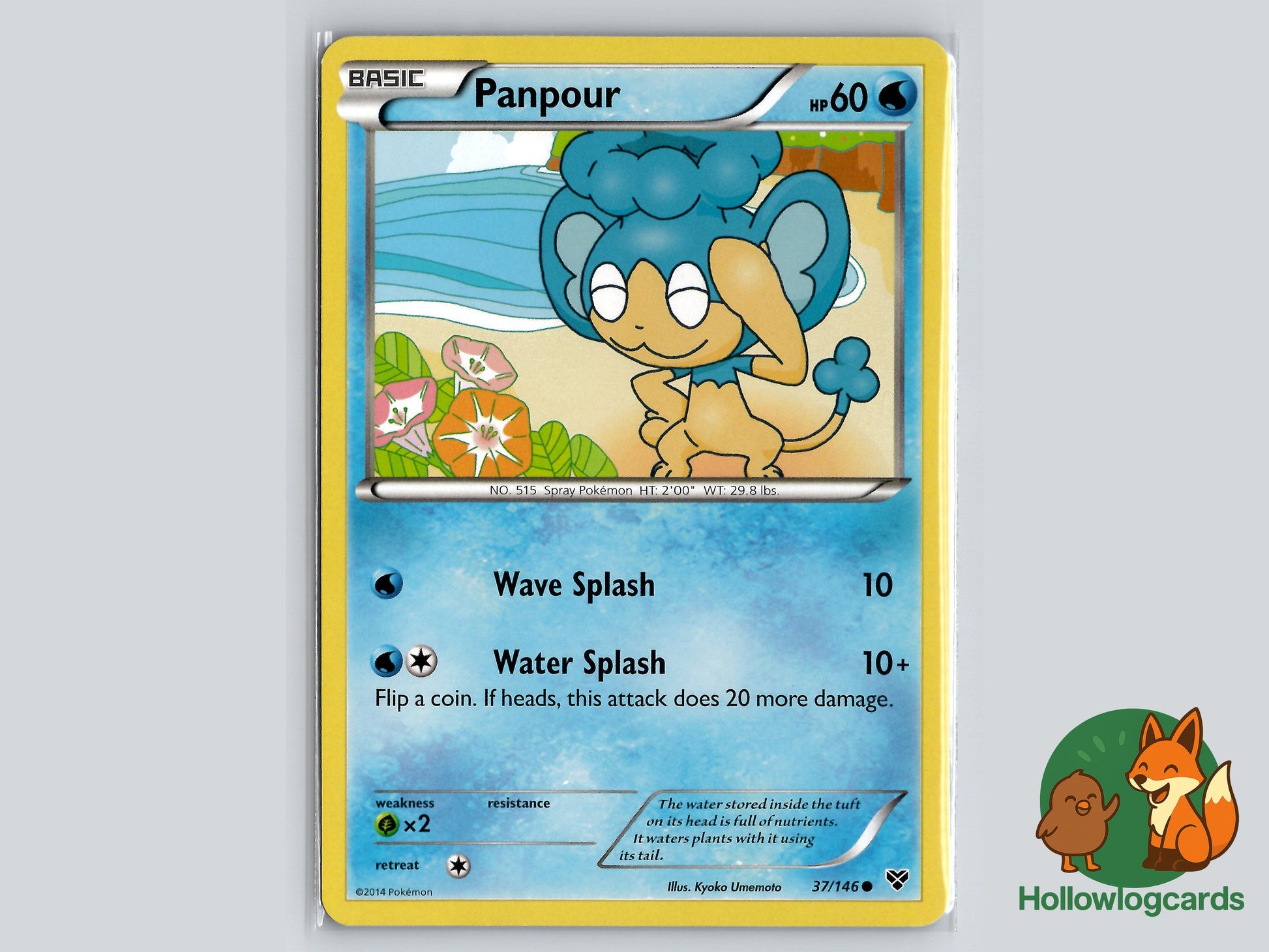 Image of Panpour XY (XY) #37