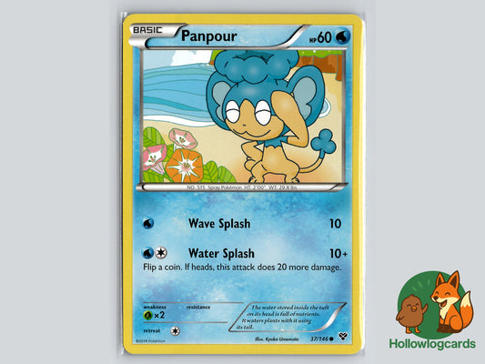 Image of Panpour XY (XY) #37