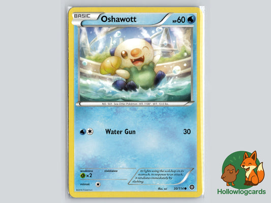 Image of Oshawott Steam Siege (STS) #30