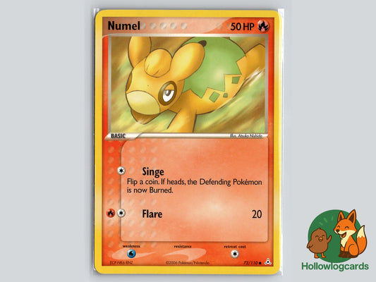 Image of Numel Holon Phantoms (HP) #72