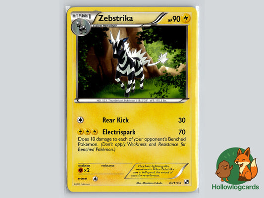 Image of Zebstrika Black and White (BLW) #43