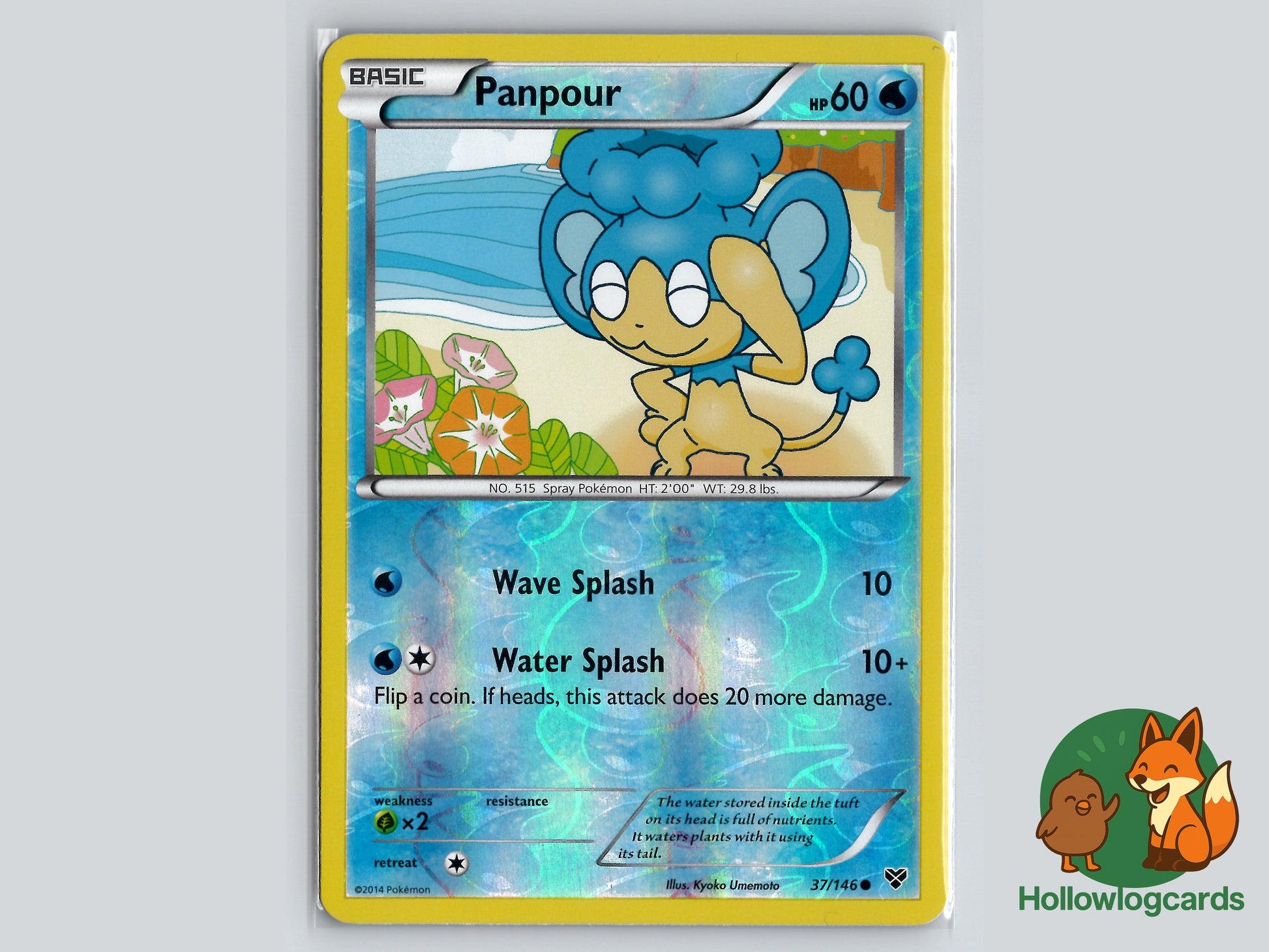 Image of Panpour XY (XY) #37