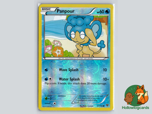 Image of Panpour XY (XY) #37