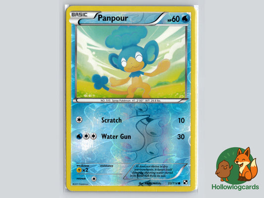 Image of Panpour Black and White (BLW) #33