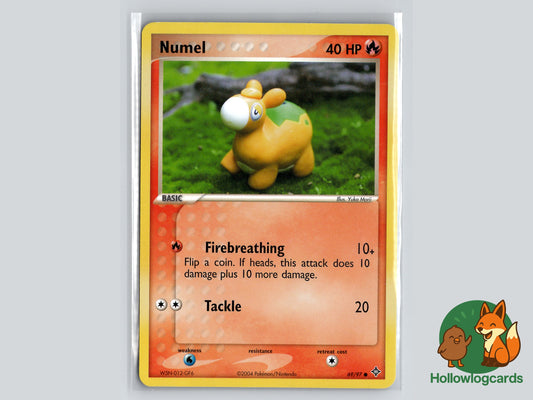 Image of Numel Dragon (DR) #69