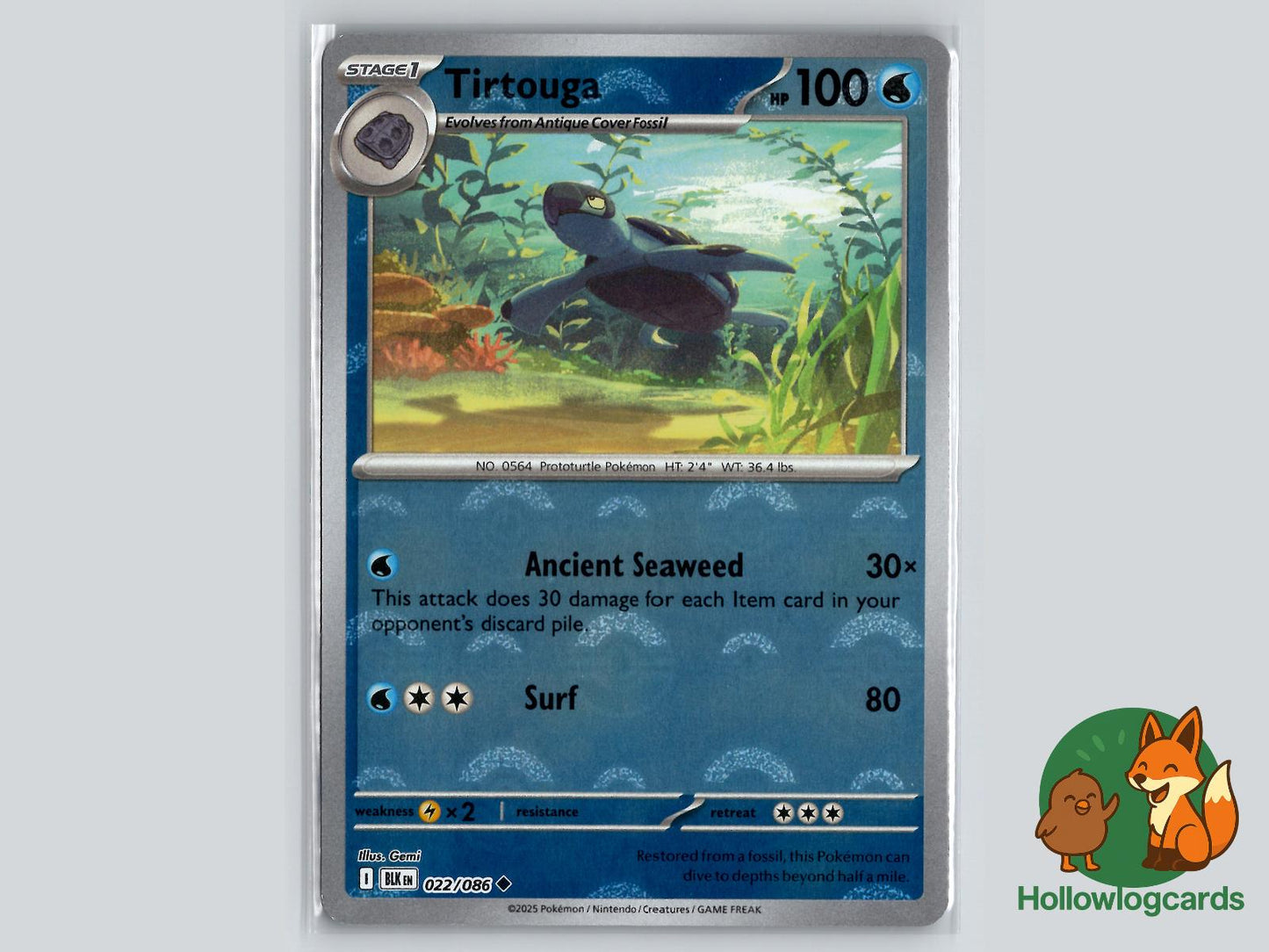 Tirtouga (022/086) - Black Bolt Pokémon Card