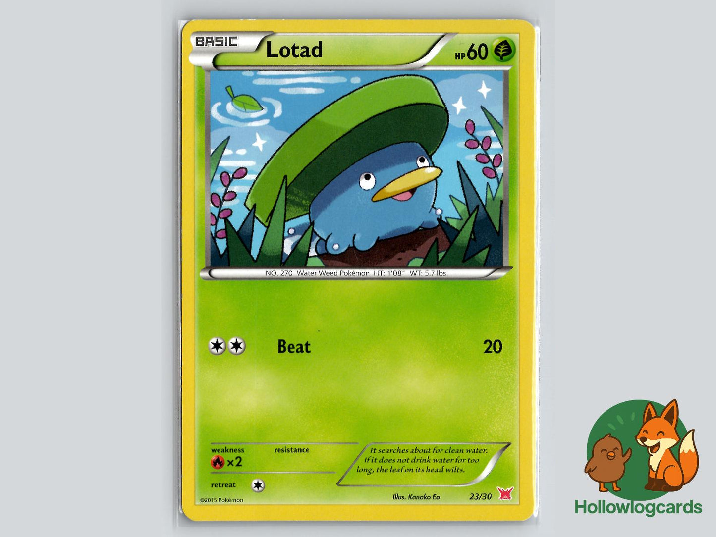 Lotad (23/30) - XY Pokémon Card