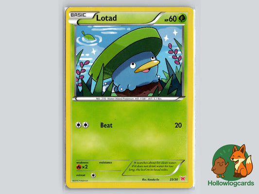 Lotad (23/30) - XY Pokémon Card