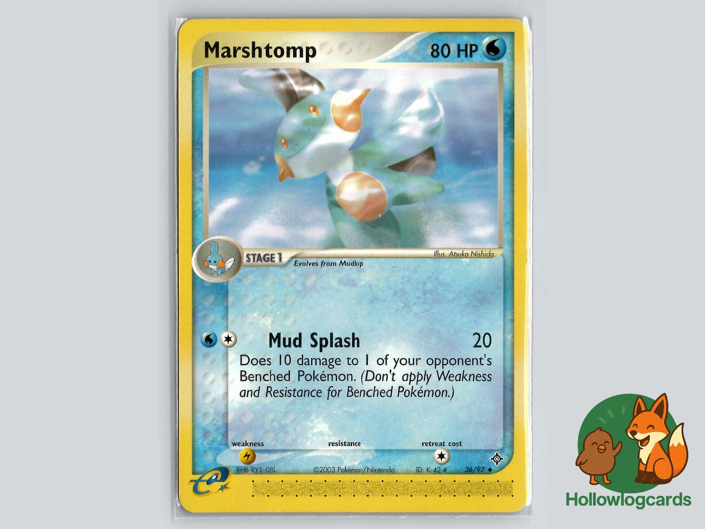 Marshtomp (36/97) - Dragon Pokémon Card