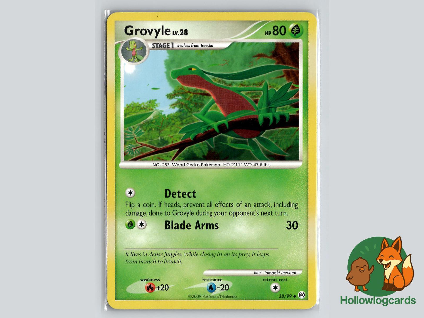 Grovyle (38/99) - Arceus Pokémon Card