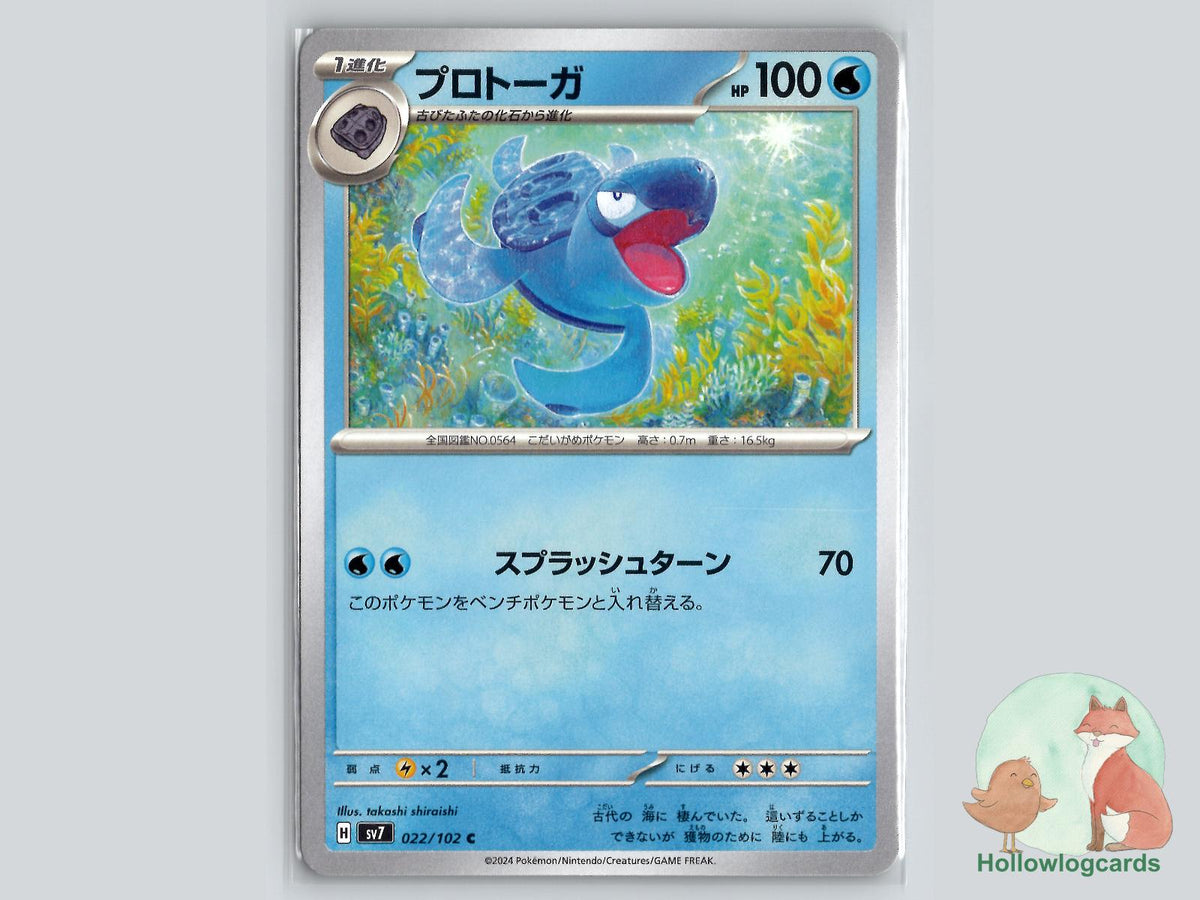 Tirtouga (022/102) Pokémon Card