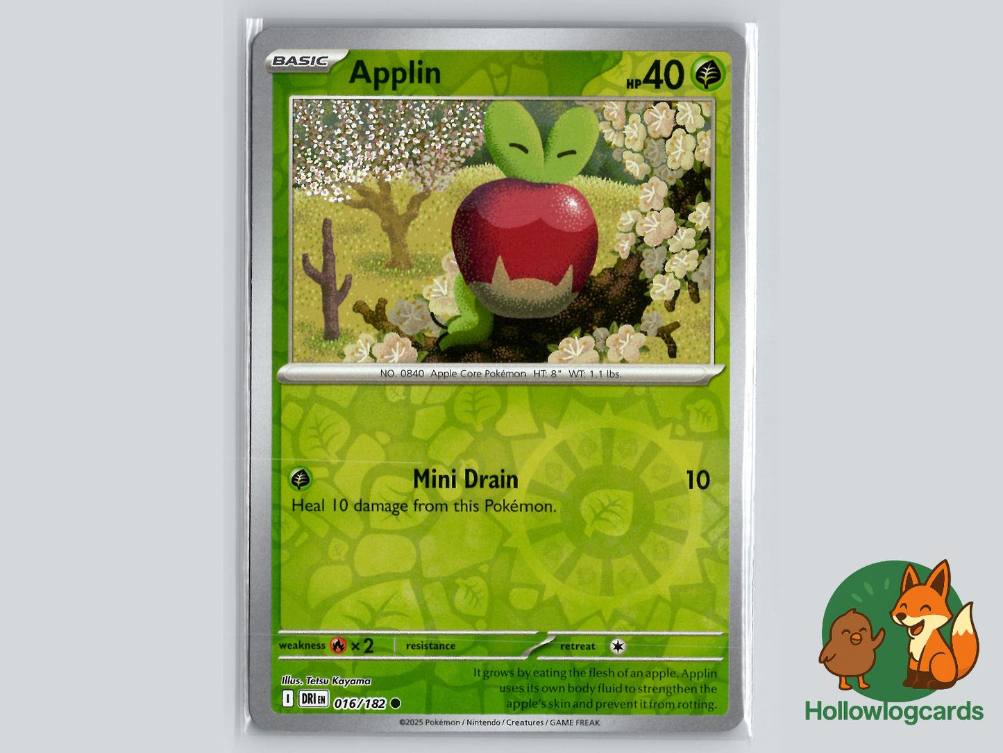 Applin (016/182) - Destined Rivals Pokémon Card
