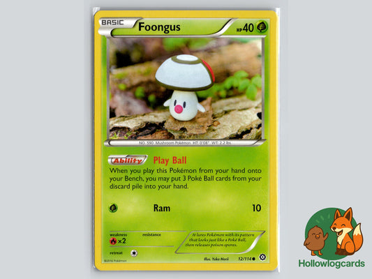Image of Foongus Steam Siege (STS) #12