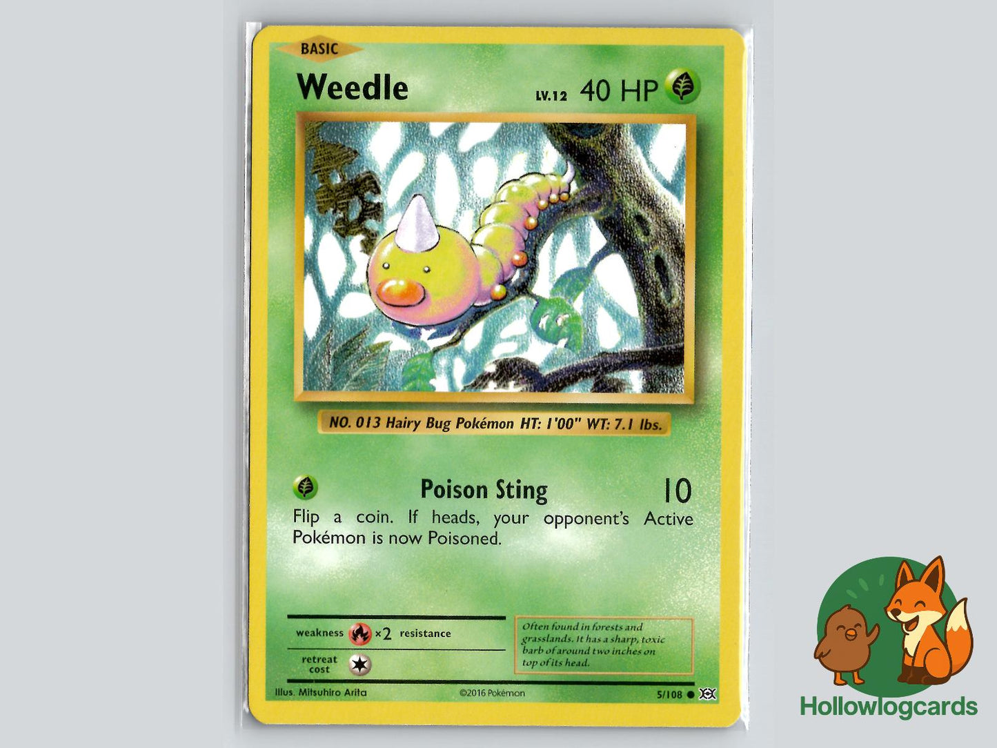 Weedle (5/108) - Evolutions Pokémon Card