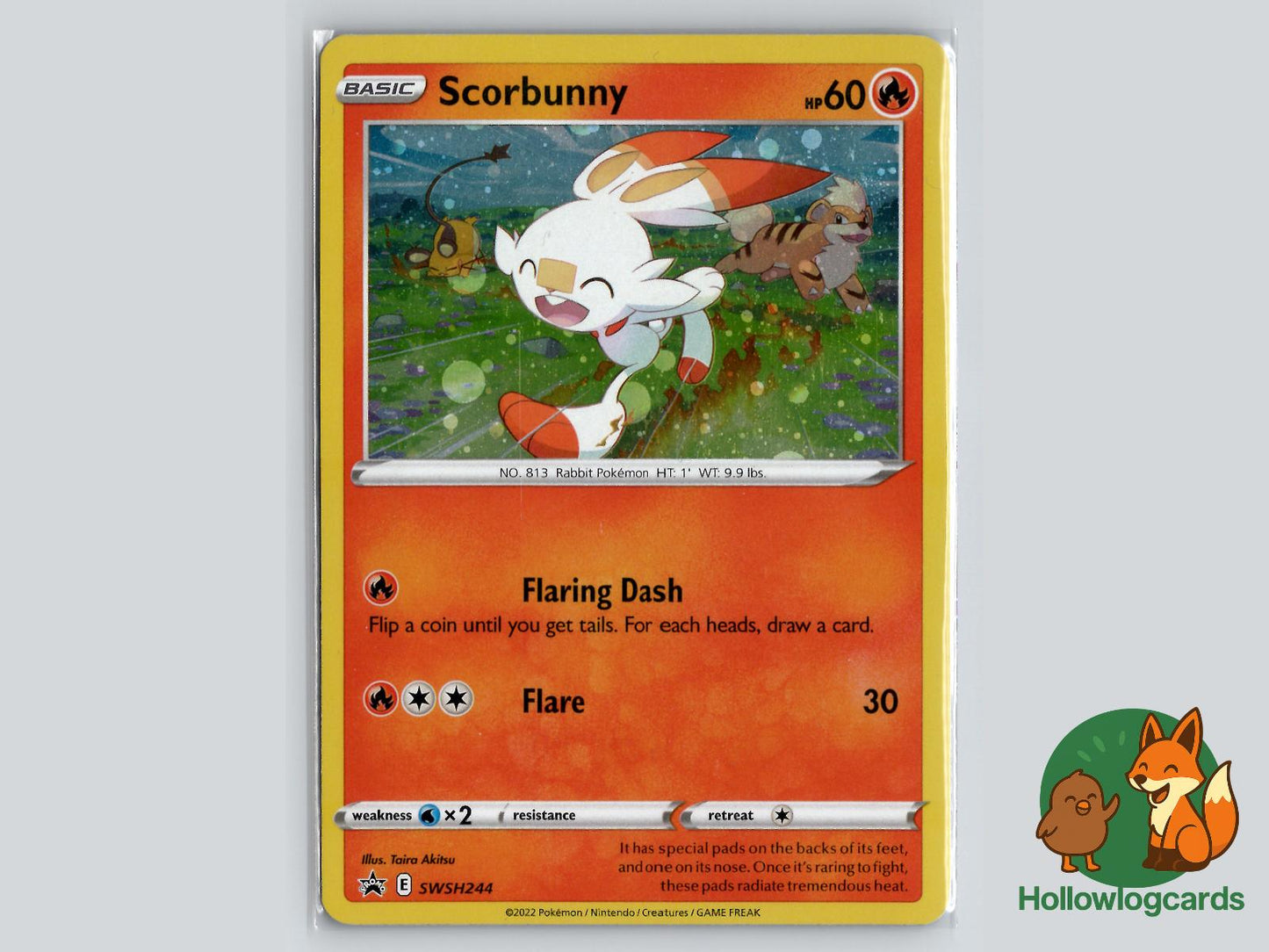 Scorbunny (SWSH244) - Sword & Shield Pokémon Card