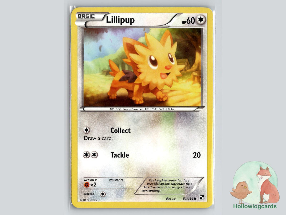 Lillipup (81/114) - Black & White Pokémon Card