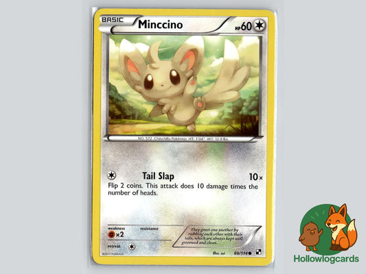 Minccino (88/114) - Black & White Pokémon Card