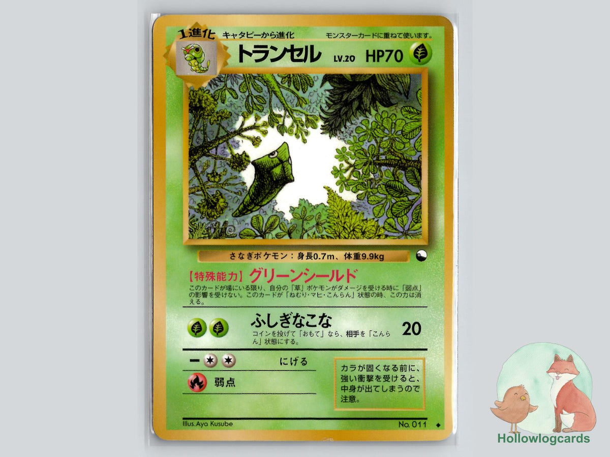 Metapod Pokémon Card