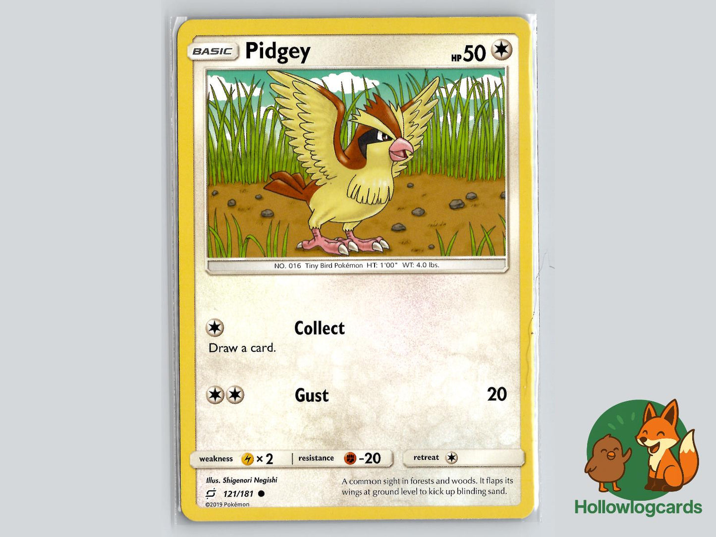 Pidgey (121/181) - Team Up Pokémon Card