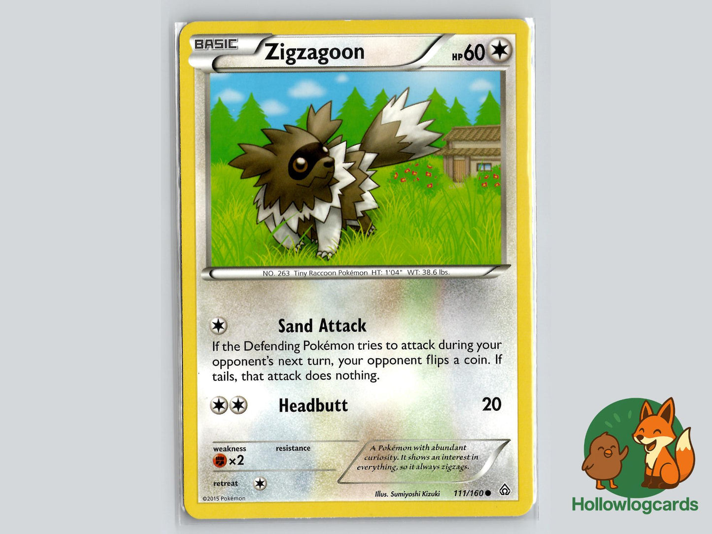 Zigzagoon (111/160) - Primal Clash Pokémon Card