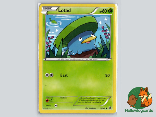 Lotad (10/160) - Primal Clash Pokémon Card