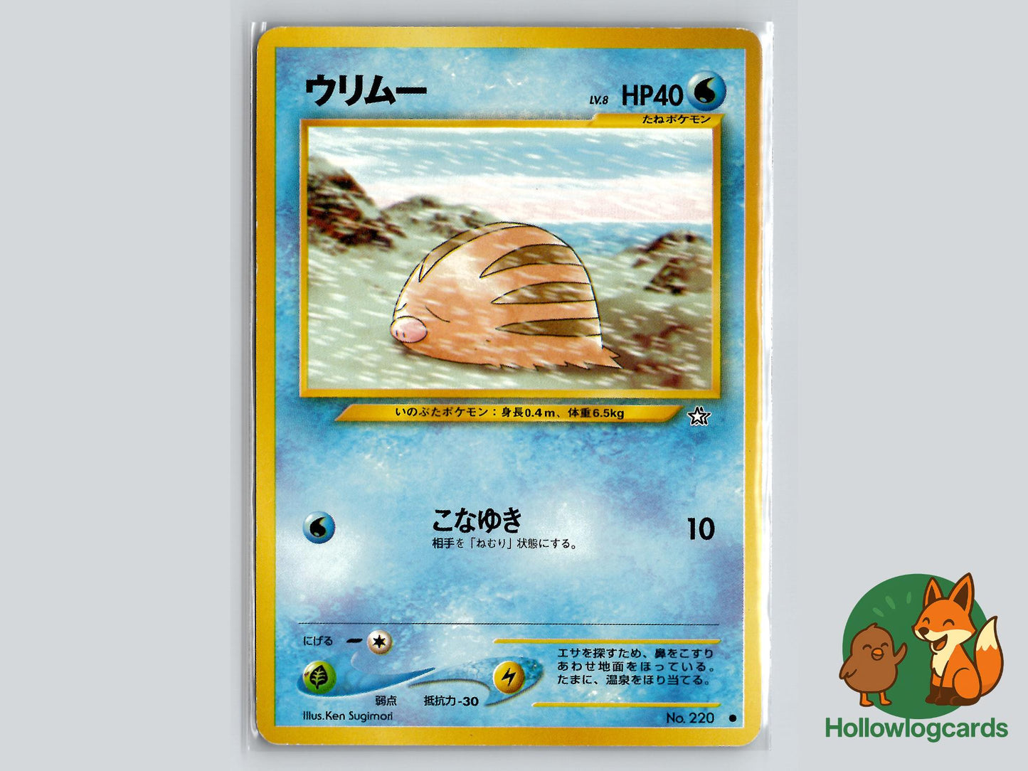 Swinub - Neo Genesis Pokémon Card