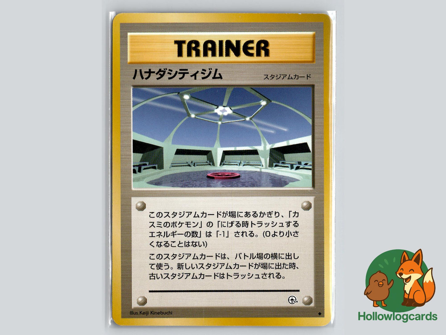 Cerulean City Gym - Gym Heroes Pokémon Card