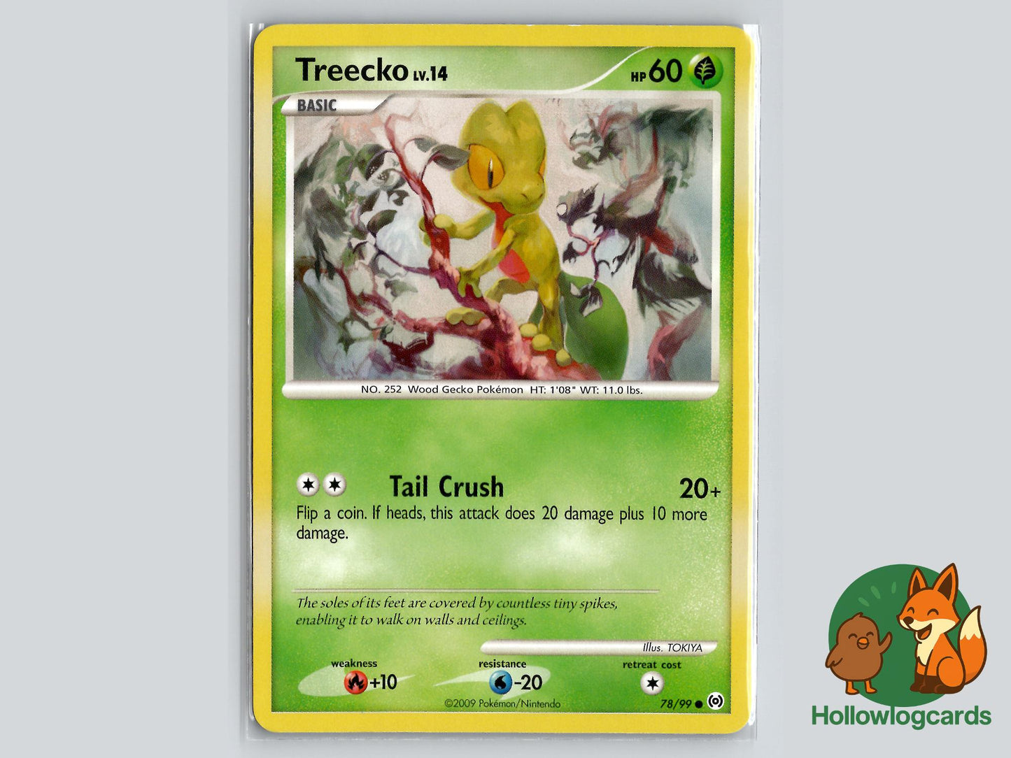 Treecko (78/99) - Arceus Pokémon Card