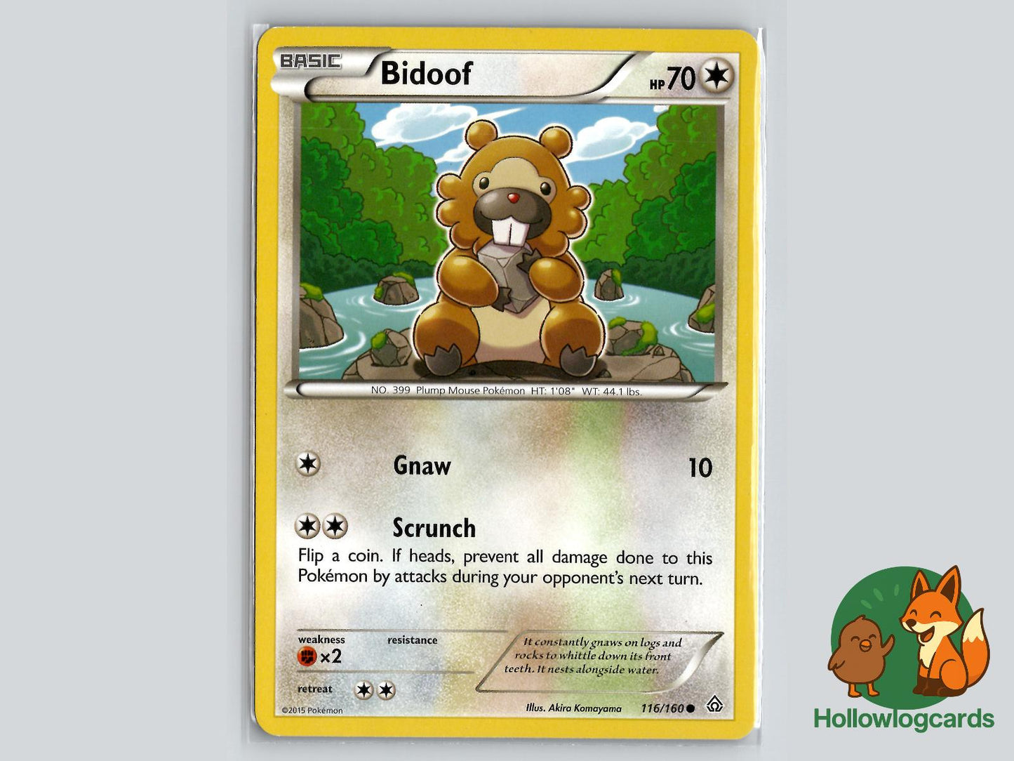 Bidoof (116/160) - Primal Clash Pokémon Card