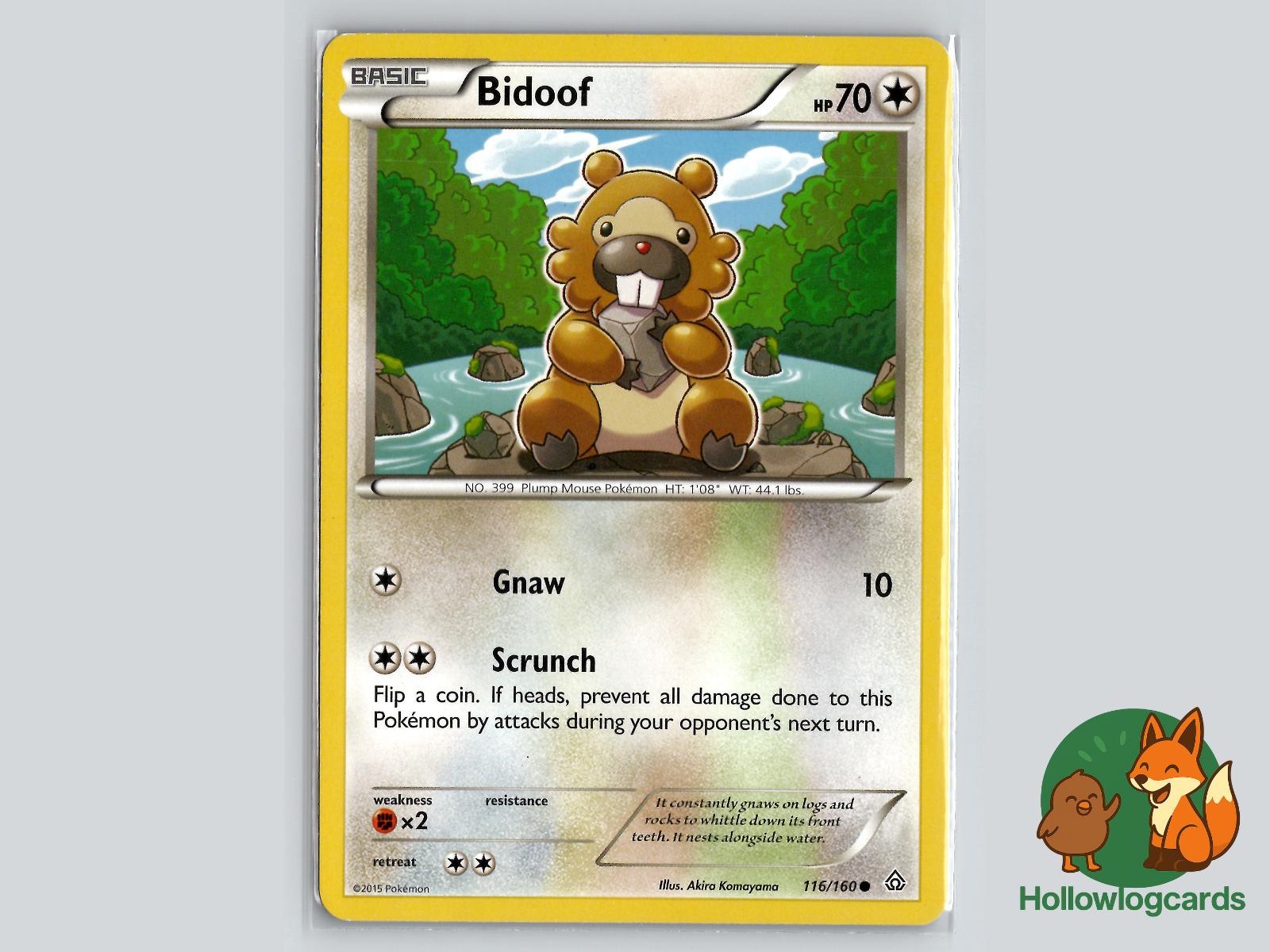 Bidoof (116/160) - Primal Clash Pokémon Card