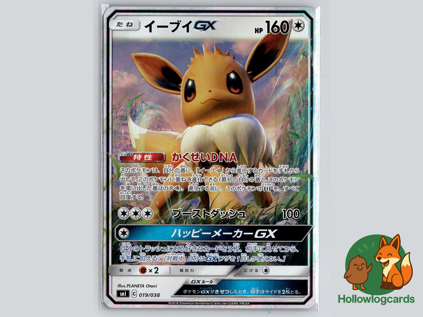 Eevee GX (019/038) - Flareon Vaporeon Jolteon GX Deck Pokémon Card