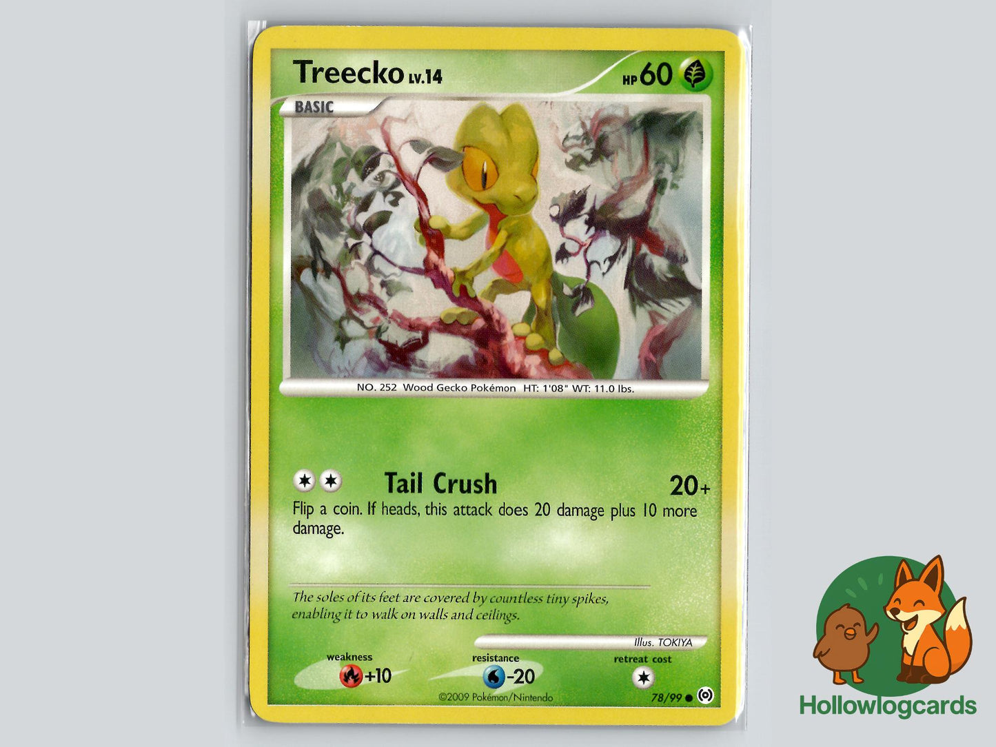 Treecko (78/99) - Arceus Pokémon Card
