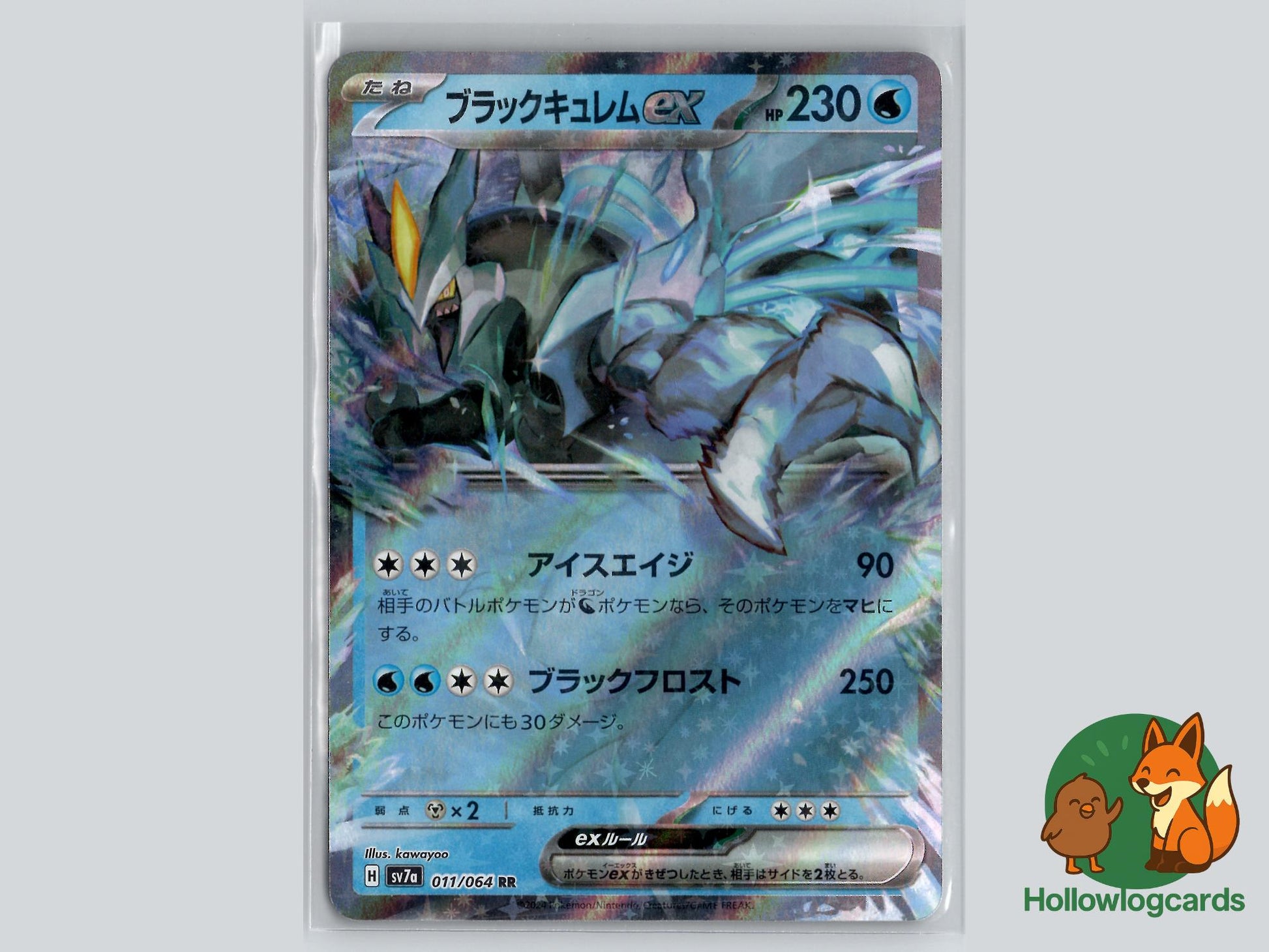 Black Kyurem EX (011/064) - Dragon Pokémon Card
