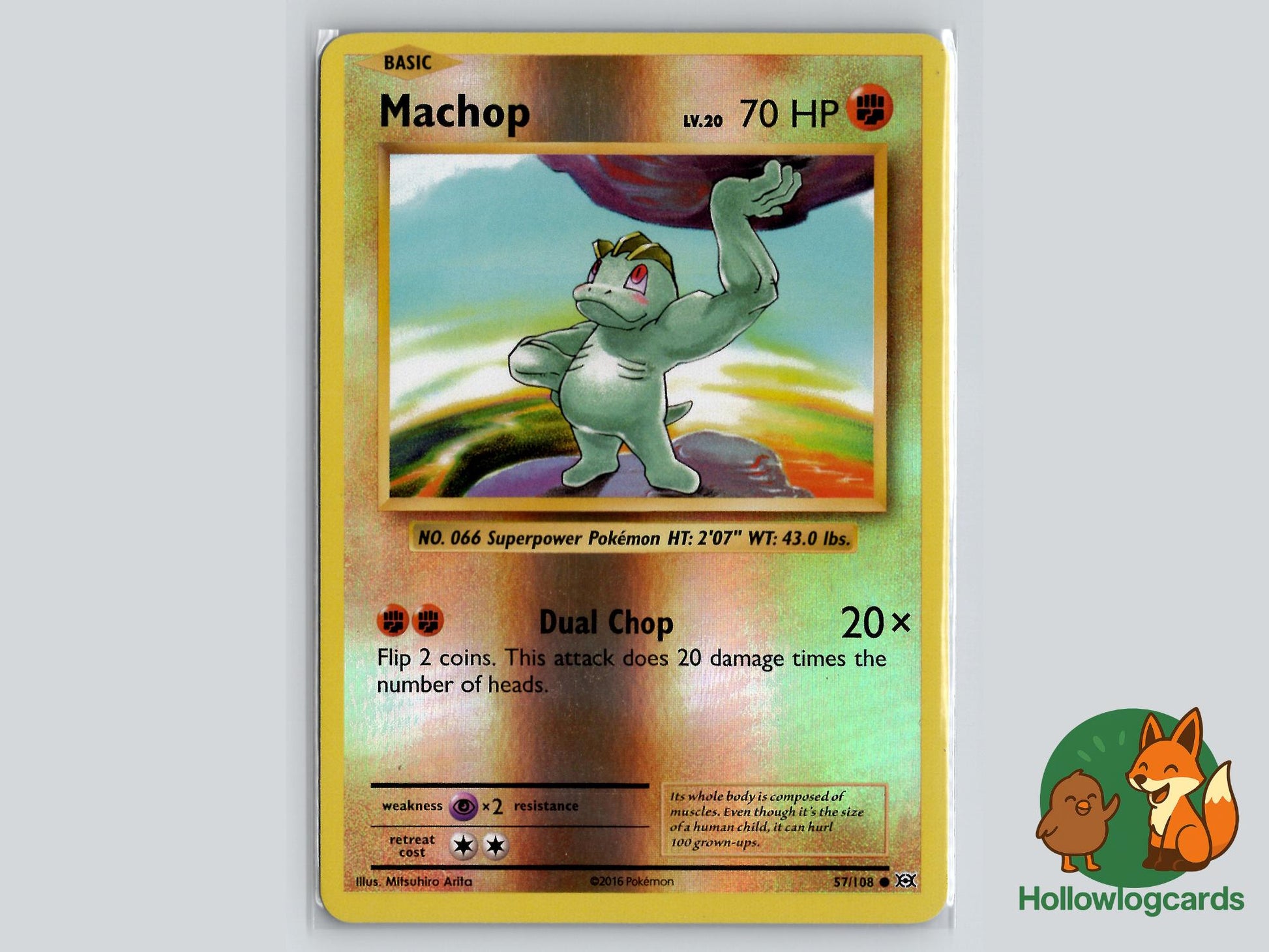 Machop (57/108) - Evolutions Pokémon Card