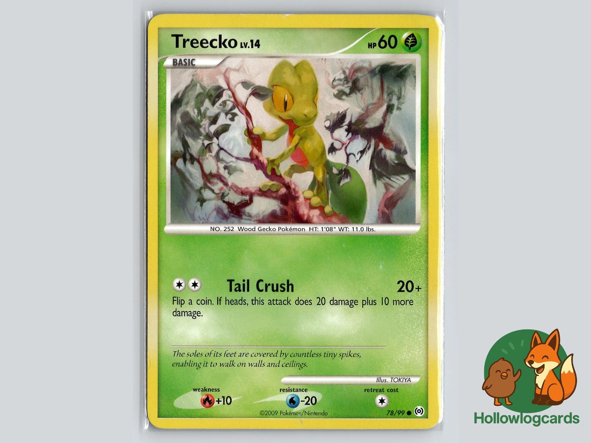 Treecko (78/99) - Arceus Pokémon Card