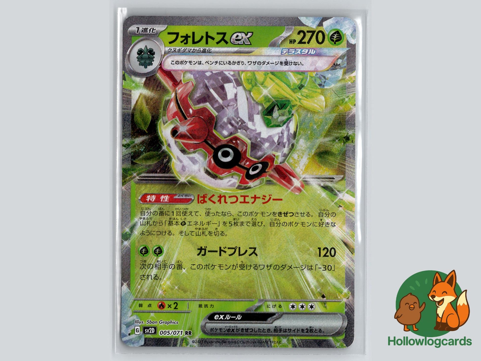 Forretress EX (005/071) - Clay Burst Pokémon Card