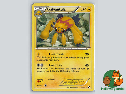 Galvantula (46/114) - Black & White Pokémon Card