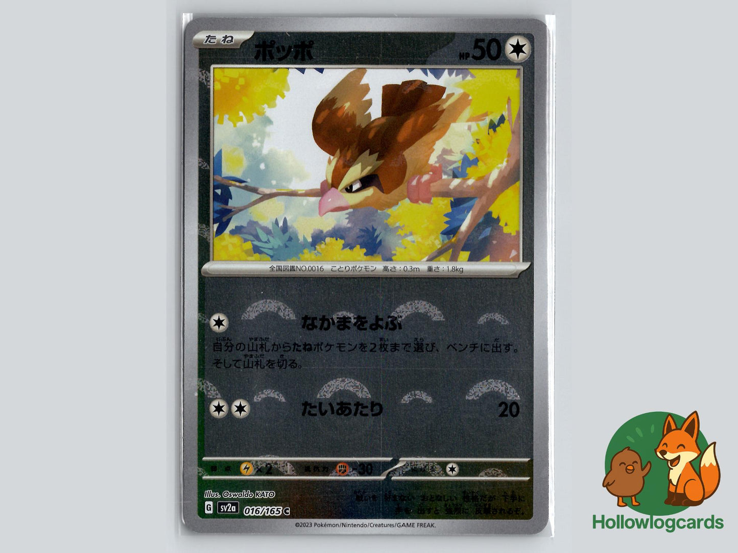 Pidgey (013/053) - Koraidon ex Starter Set Pokémon Card