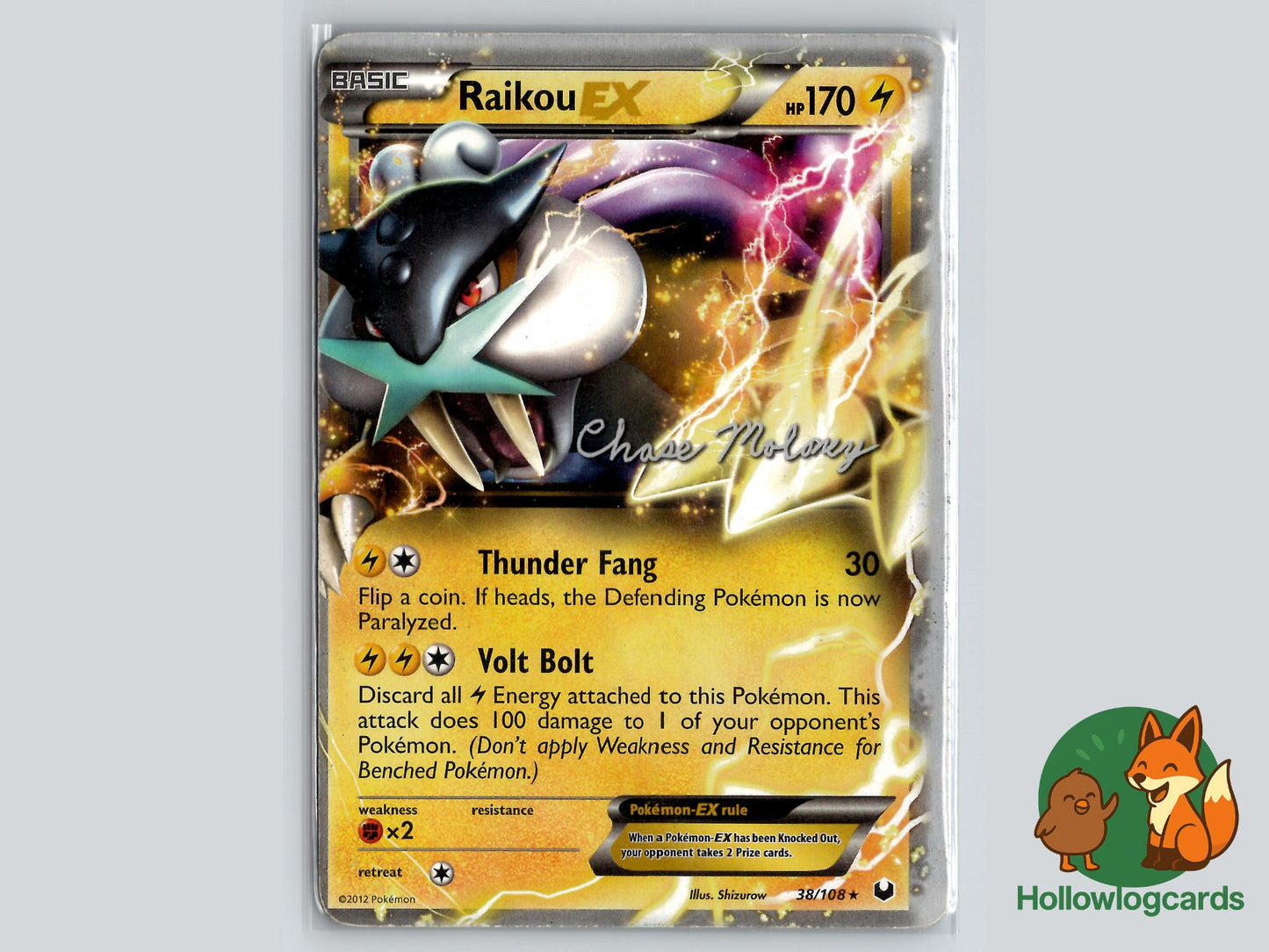 Raikou (38/108) - Dark Explorers Pokémon Card